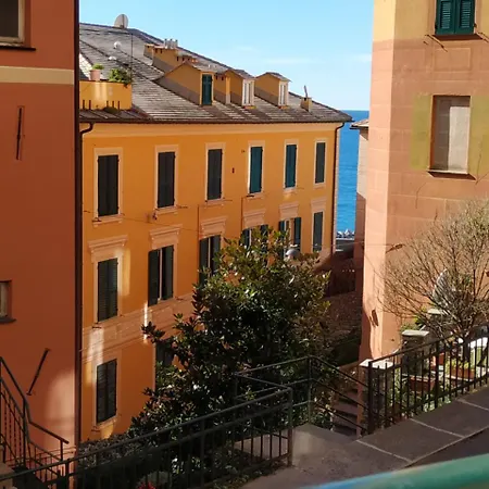 Augusta 2* Camogli