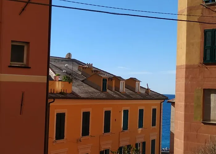 Augusta Camogli